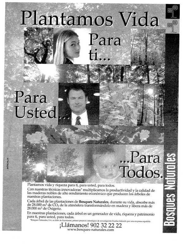 Descripción de la imagen